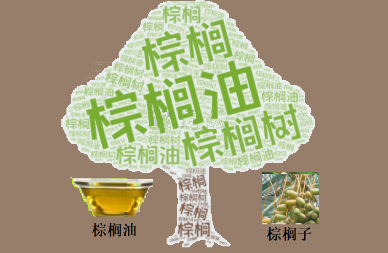 ZFX山海证券:棕榈油“月度防线”告破：当停火协议撞上生物柴油预期，溢价回归还是底部坍塌？
